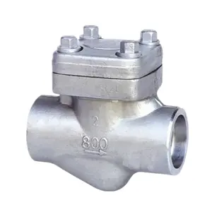 DN15 Forged Steel A105 Check Valve for Steam PN100 Class 800LB