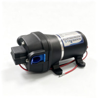 Pompe à eau automatique Mambaflo 12V DC 12,5 LPM pour caravane, camping-car, bateau, alimentation en eau