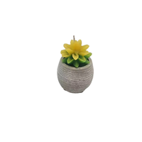 Bougie artisanale moderne personnalisée Scent Sational, cire de soja, pot en verre/céramique, parfum personnalisé écologique, 30 à 60 heures
