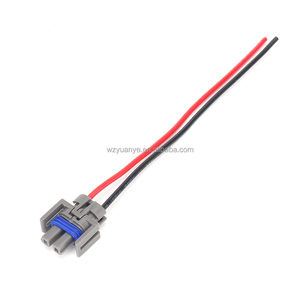 12162017 DJ70217A-1.5-21 2-pins vrouwelijke waterdichte AC-luchtpompconnector voor auto-kabelboom, HVAC-systeemstekker - Product Image 1