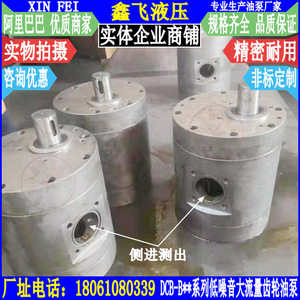 Pompes hydrauliques à engrenages hélicoïdaux à faible bruit et à haut débit, série DCB-B350, DCB-B400, DCB-B500, DCB-B600 - Product Image 3