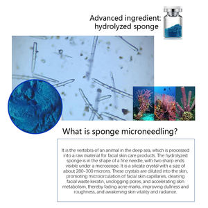 طقم إسفنج أزرق طحلب مجهري للوجه والكولاجين ومستخلص بيولوجي طبيعي إسفنج شبيكة - Product Image 2
