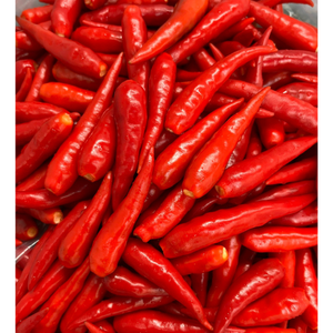 Chili fresco Precio bajo Verduras frescas Especias Productos de hierbas Especias Pimienta roja Agrícola en productos vietnamitas al por mayor - Product Image 2