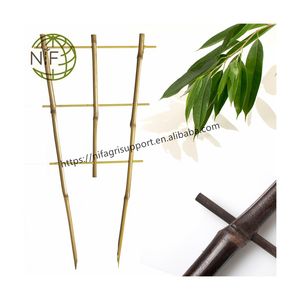 <span class=keywords><strong>NIF</strong></span> Venta caliente mejor calidad escalera de bambú orquídea enrejado para plantas pequeñas - Product Image 1