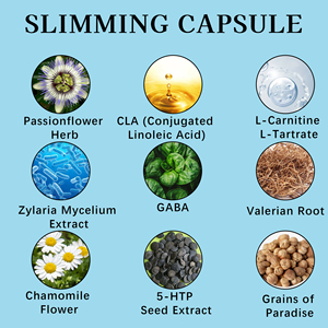 Private Labels Organic Slimming Capsules Night Time Fat Burner Boost Metabolism Herbal Blend Formula 90 Caps for Women & Men - Product Image 6