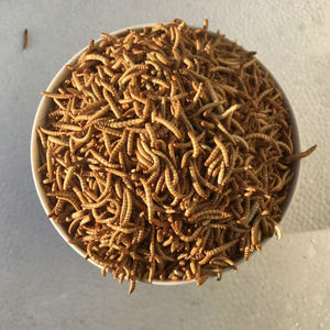 Nhà Máy Bán Hàng Trực Tiếp Siêu Pet Đồ Ăn Nhẹ Tiêu Chuẩn Tuyệt vời Thực Phẩm Khô Giun Cho Chim Và Hamster Cao Cấp Thức Ăn Vật Nuôi Cho Động Vật Cũ - Product Image 6