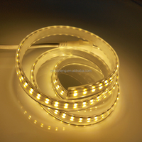 Bande lumineuse led sans fil 220V SMD 2835 120led 180led par mètre Bande flexible étanche extérieure
