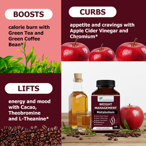 Factory Wholesales Weight Management Capsules Apple Cider Vinegar <b>Supplement</b> Support Metabolism Boost Gut Health Capsules - Product Image 3