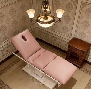 Electric Beauty Bed with Lifting Folding Tattoo Embroidery Micro Plastic Therapy Bed Beauty Salon Specific Massage Bed - Product Image 5