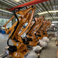 Robot de palettisation industriel robuste 100 kg 150 kg 200 kg pour l'empilage de cartons et de sacs