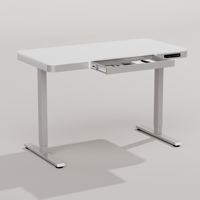 PRORIALS Escritorio Eléctrico Ergonómico Inteligente de Altura Ajustable con un Solo Motor, Cajón y Superficie de Madera/Metal para el Hogar - ¡Venta Caliente!
