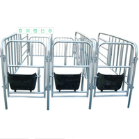 Porc Cage Caisse de mise bas pour la Truie