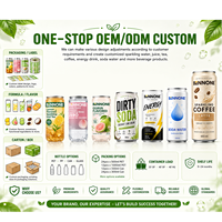 Bennone OEM/ODM Energy Drink 250ml/300ml/330ml Zuckerfrei Fettarm Getränk PET/Dosen-Verpackung Private Label Großhandelslieferung