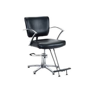 Silla de Peluquería Multifuncional de Alta Calidad, Silla de Peluquería y Barbería con Elevación - Product Image 1