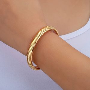 Pulsera de cadena de hueso de serpiente elástica retro-Joyería de nicho de acero inoxidable exagerada para hombres y mujeres - Product Image 2