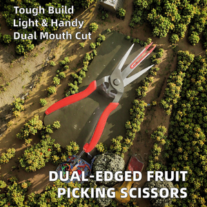 Herramienta de mano de jardín de doble filo industrial personalizable OEM Apple Picking Kiwi Tijeras de adelgazamiento de pera Diseño DE DOBLE BOCA para delgados - Product Image 2