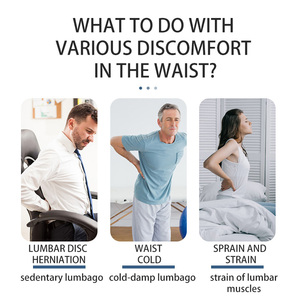 Producto de alta demanda OEM ODM disponible hierbas naturales compresa caliente parche lumbar - Product Image 5