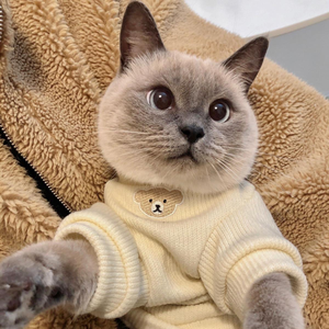 Pet Apparel & Accessories Pet Products New Dog Clothes Fashion Sweater Casual Pet Clothes Puppy Clothes - Product Image 1