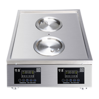 Nouvelle machine à vapeur électrique commerciale intelligente multifonctionnelle, commande unique, niveaux de puissance réglables, 3000 Watts, 3 couches