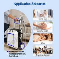 Appareil de nettoyage en profondeur portable 3 en 1 pour l'élimination des points noirs, soin de la peau, pulvérisateur d'oxygène professionnel, appareil facial