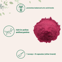 Poudre de cerise acidulée OEM 100% naturelle, antioxydants et vitamines naturels pour boissons et smoothies