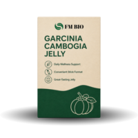 Bâtonnets de gelée de Garcinia Cambogia OEM, extrait botanique naturel, complément alimentaire pour la gestion du poids, saveur personnalisée, 10 bâtonnets