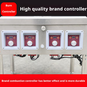 <span class=keywords><strong>Estufa</strong></span> Comercial Electromecánica de 4 Quemadores para Ollas de Barro - Equipada con Ventilador, Compatible con Aceite Vegetal/<span class=keywords><strong>Parafina</strong></span> Líquida - Product Image 6