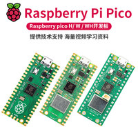 Placa de Desarrollo Raspberry Pi Pico, Microcontrolador, Programación en C++ / Python, Controlador para Principiantes