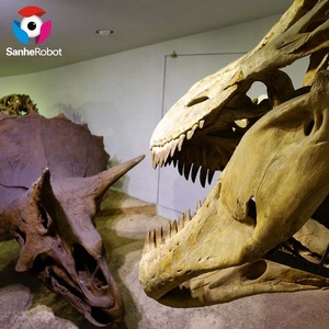 Fibra <span class=keywords><strong>de</strong></span> vidrio dinosaurio fósil tamaño Real dinosaurio esqueleto réplica modelo precio para <span class=keywords><strong>Parque</strong></span> <span class=keywords><strong>de</strong></span> Atracciones - Product Image 3