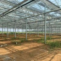 Grote multi-span klimaatkamer voor de teelt van groenten, bloemen en fruit met automatische irrigatie