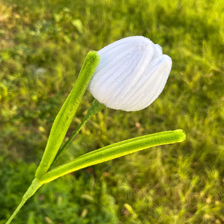 Blanc