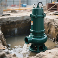 Pompe de drainage submersible en fonte, anti-colmatage, haute efficacité pour l'évacuation des eaux usées des sous-sols et des mines