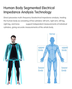 Analyseur de composition corporelle BIA segmentaire à 8 électrodes, ultrasonique, avec reconnaissance faciale, pour clubs de fitness et salons de beauté - Product Image 2