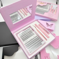 Extensions de cils segmentées DIY, cils pré-coupés, noir naturel, fibre PBT coréenne, 8-16 mm, courbure D+, haute qualité