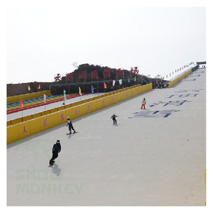Tappeto da Sci Asciutto in Vendita, Pista da Sci Asciutta Snow Monkey, Pista da Sci Artificiale - Product Image 2