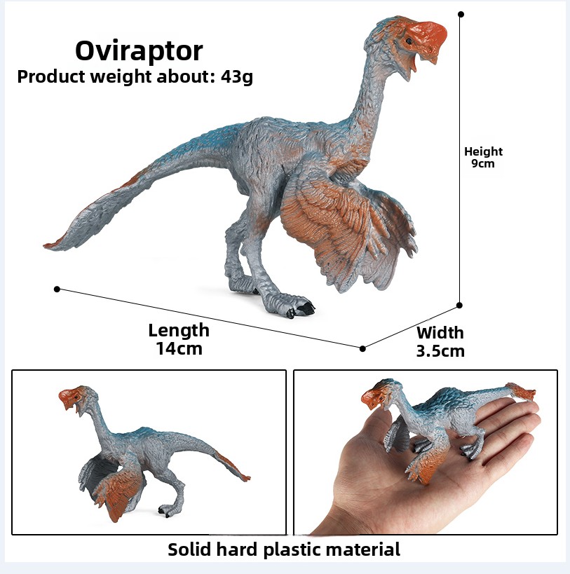 Oviraptor -0062