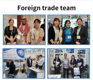 Detroit ปั๊มกรองทรายแบบ3ใบพัด3HP 5.5 KW 50 HP เครื่องเป่าทรายแบบใช้ไฟฟ้าจาก tipe 300 10 Inchi - Product Image 5