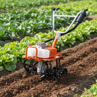 Motoculteur agricole léger à essence avec fonction de désherbage – Machine efficace pour le prétraitement et le desserrage du sol agricole