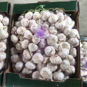 Alho Branco Orgânico Fresco e <span class=keywords><strong>Natural</strong></span> à Venda a Preços Baixos 5.0cm 5.5cm Fábrica de Alho de Jining - Product Image 4