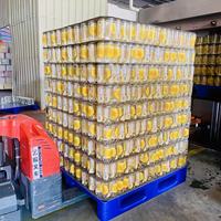 Boissons pétillantes sans alcool Elisha au goût intense de mangue, 350 ml, canette PET, certifiées HACCP, ISO22000 et HALAL, pour enfants et adultes