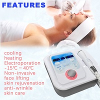 WEIYI-dispositivo Facial para electroporación en frío y caliente, dispositivo 3 en 1, sin aguja, para mesoterapia, D101