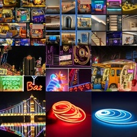 Guirlandes lumineuses LED RGB intelligentes flexibles à télécommande USB, corps en PVC, indice de protection IP65, pour décoration extérieure commerciale – Vente chaude