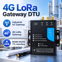 Edge 4G LTE Lora Gateway Dtu Serial Server RS485 Modbus Mqtt Unit Terminal Data IOT Jarak Jauh untuk Pembacaan Meteran Jarak Jauh