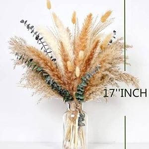 Decoración de Boda Hecha a Mano, Eucalipto Preservado, Combinación de Hierba de Pampas Seca, Hierba de Cola de Conejo, para el Día de la Madre, Navidad - Product Image 3