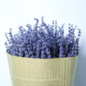 Fiori Secchi di Lavanda Viola per Decorazioni Matrimoniali e Domestiche, Fiori Preservati per Decorazioni Casa e Feste - Product Image 2