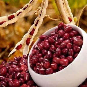 High Quality Small Red/Adzuki Bean New Arrival Healthy <strong>Delicacy</strong> in Food &amp; Beverage - Product Image 4