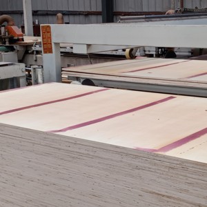 Contrachapado Recubierto <span class=keywords><strong>de</strong></span> Película con Pegamento WBP, Contrachapado Resistente para Encofrados, para la Construcción <span class=keywords><strong>de</strong></span> Oficinas Postales y Edificios <span class=keywords><strong>de</strong></span> Ayuntamientos en Hormigón - Product Image 5
