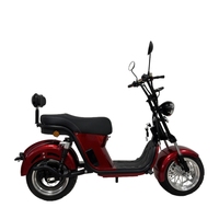 Scooter Eléctrico de Dos Ruedas sin Escobillas de 2000 W, 10 Pulgadas, Batería de Litio de 20 Ah/40 Ah, Plegable, Impermeable, para Uso Urbano para Adultos