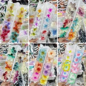 กิ๊บติดผ<span class=keywords><strong>ม</strong></span>ทรงดอกไม้ไข่ 8 ซม. สีไล่ระดับแบ<span class=keywords><strong>บ</strong></span>ลูกกวาด สไตล์ยุโรปอเ<span class=keywords><strong>ม</strong></span>ริกัน สำหรับผู้หญิง รุ่น Advanced Sense Plate ลายฉลา<span class=keywords><strong>ม</strong></span> นำเข้าจากต่างประเทศ - Product Image 2