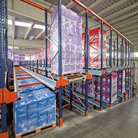 Solutions d'automatisation robustes à base de navettes métalliques, dotées de voitures navettes robotisées, compatibilité WMS pour la distribution moderne